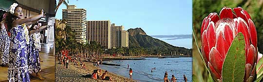 Young Hula Dancers, Diamond Head - Waikiki, Red Ginger